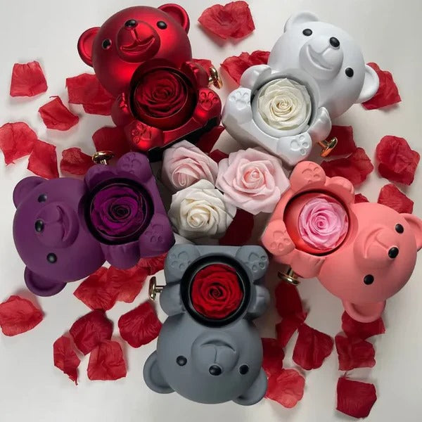 Cute Bear Gift Box With Heart Necklace And Chain